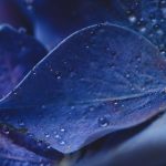 探索Invitrogen中国官网:获取最新科研产品与服务信息 5xidhx7