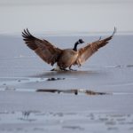 探索SM1 4HU地区的独特魅力与文化 t1f6kp8